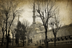 P1040225_обработано_обработано