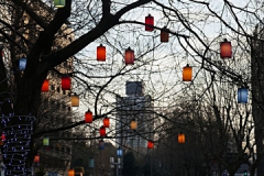 P1040309_обработано_обработано