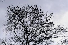 P1040346_обработано_обработано