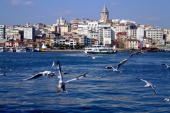 P1040506_обработано_обработано