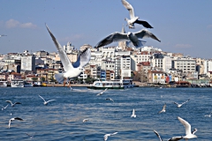 P1040508_обработано_обработано