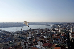 P1040549_обработано_обработано