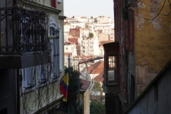 P1040570_обработано_обработано