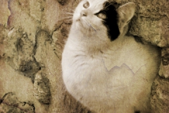 P1040602_обработано_обработано