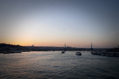 P1040609_обработано_обработано